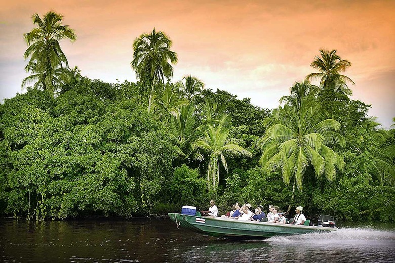 Tortuguero